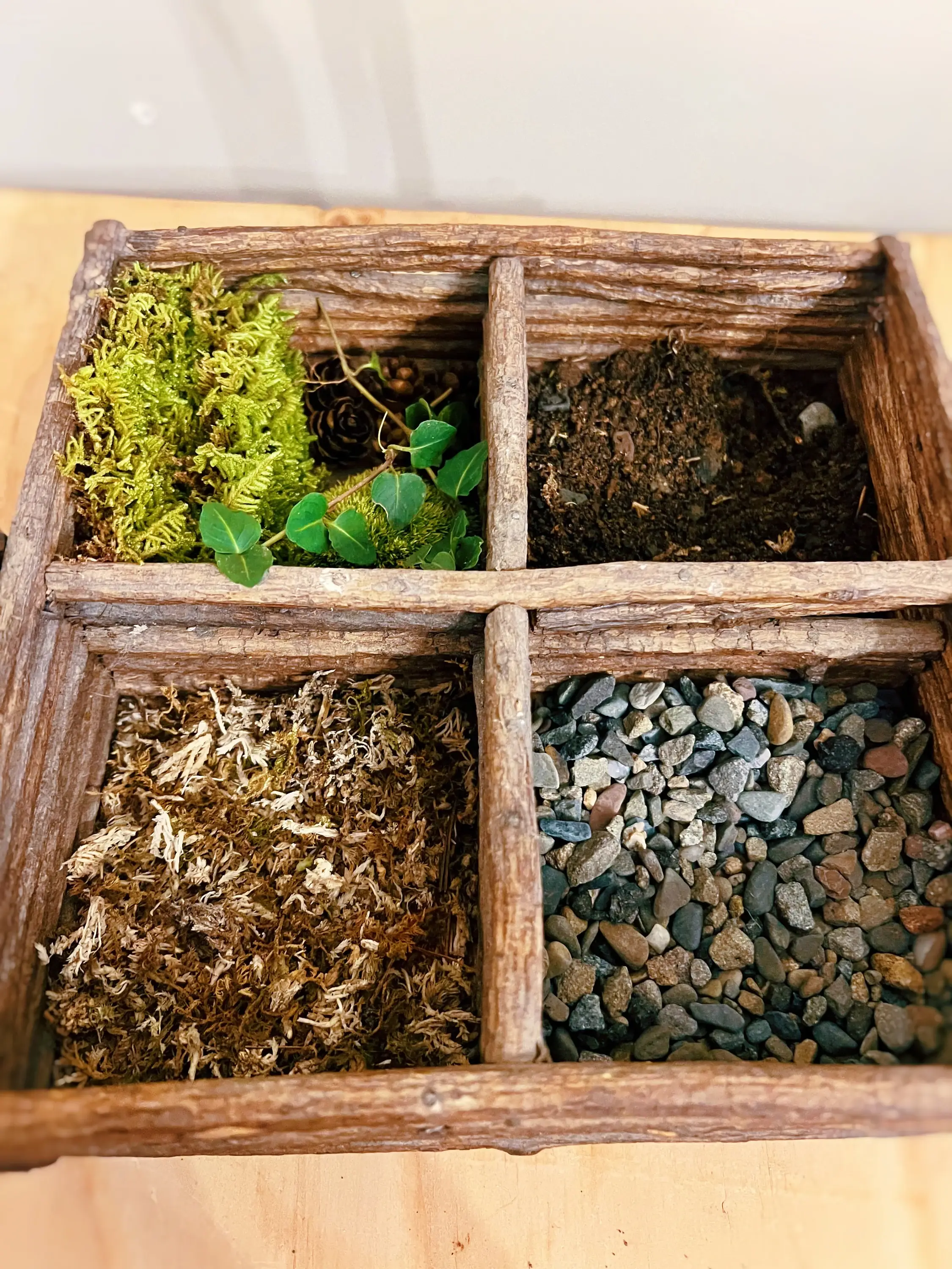 Moss & Stone Gardens - Wholesale Terrarium - DIY Moss Terrarium Supply Kit – Live Moss & Forest Accents 1