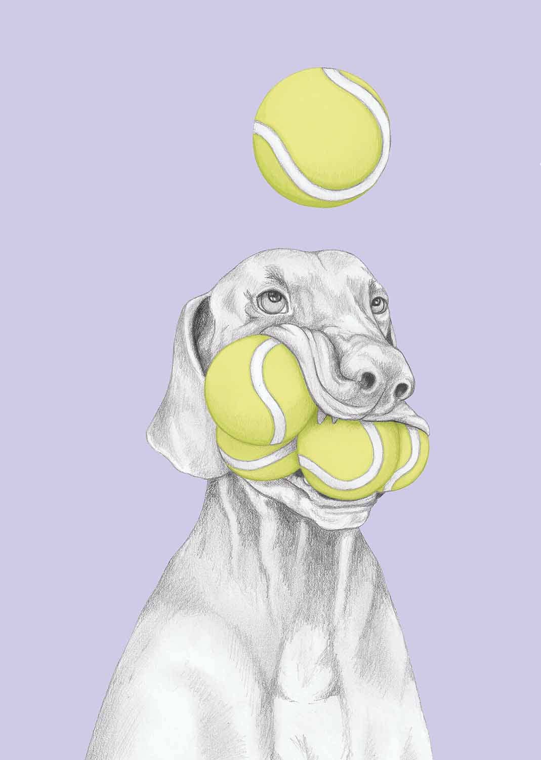 I AM NIEN - Wholesale Everyday Greeting Card - Vizsla3