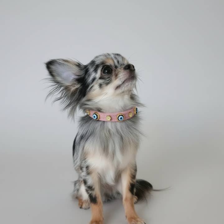 Suède Boze Oog Hondenhalsband | Suikerroze 🦄 voor wholesale door Paw London