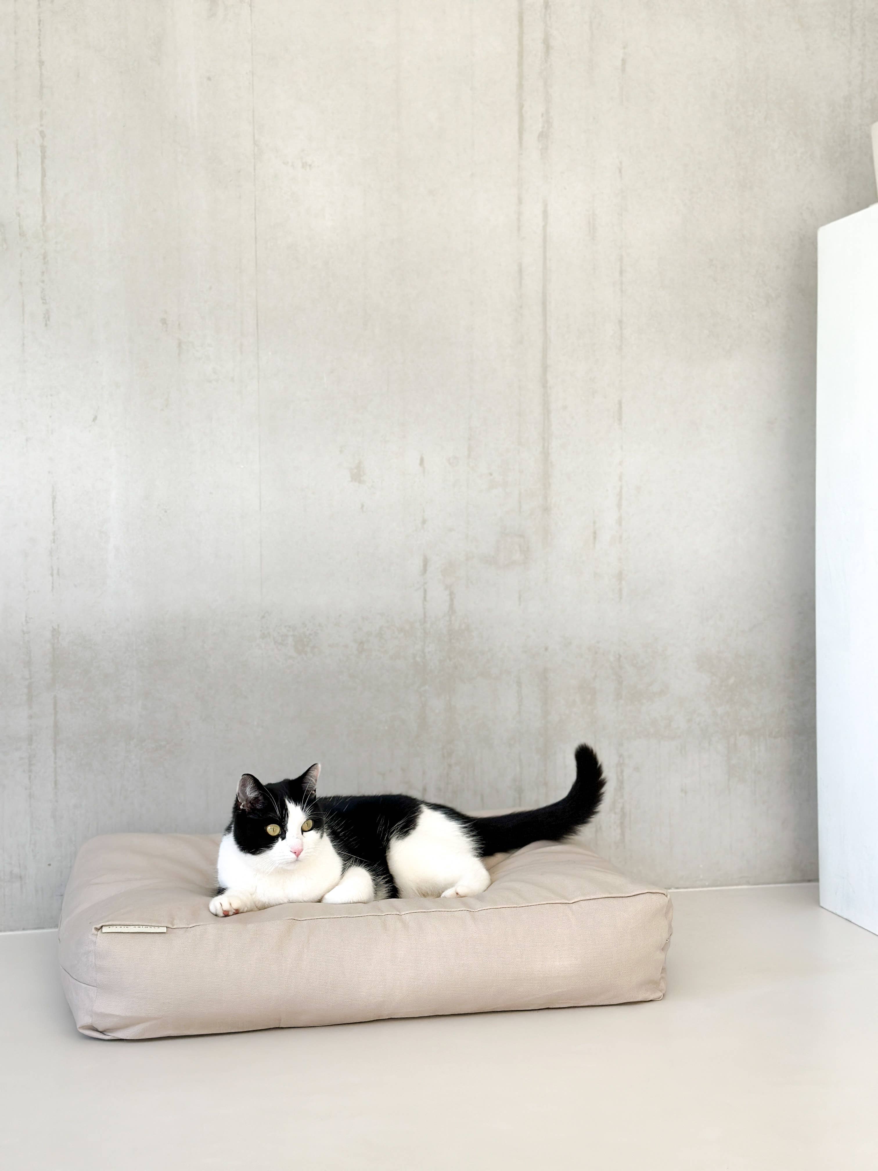 STUDIO ANIMAUX - Wholesale Pet Pillow - Dog - Dog pillow | cotton | EPS pearl filling | vanilla | size S3