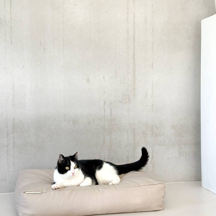 STUDIO ANIMAUX - Wholesale Pet Pillow - Dog - Dog pillow | cotton | EPS pearl filling | vanilla | size S3