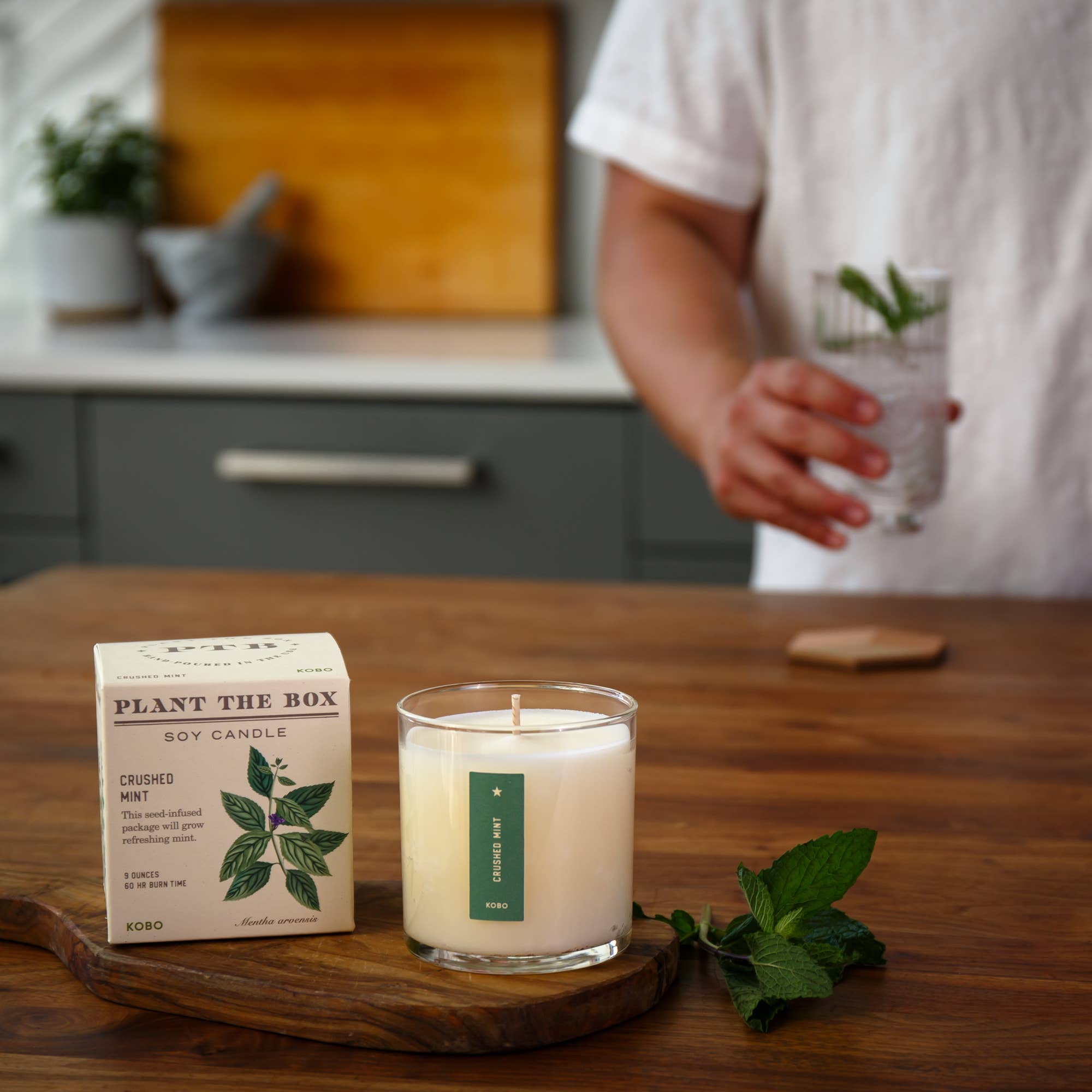 KOBO - Wholesale Jar/Filled Candle - Crushed Mint - Plant the Box Candle - 9oz.1