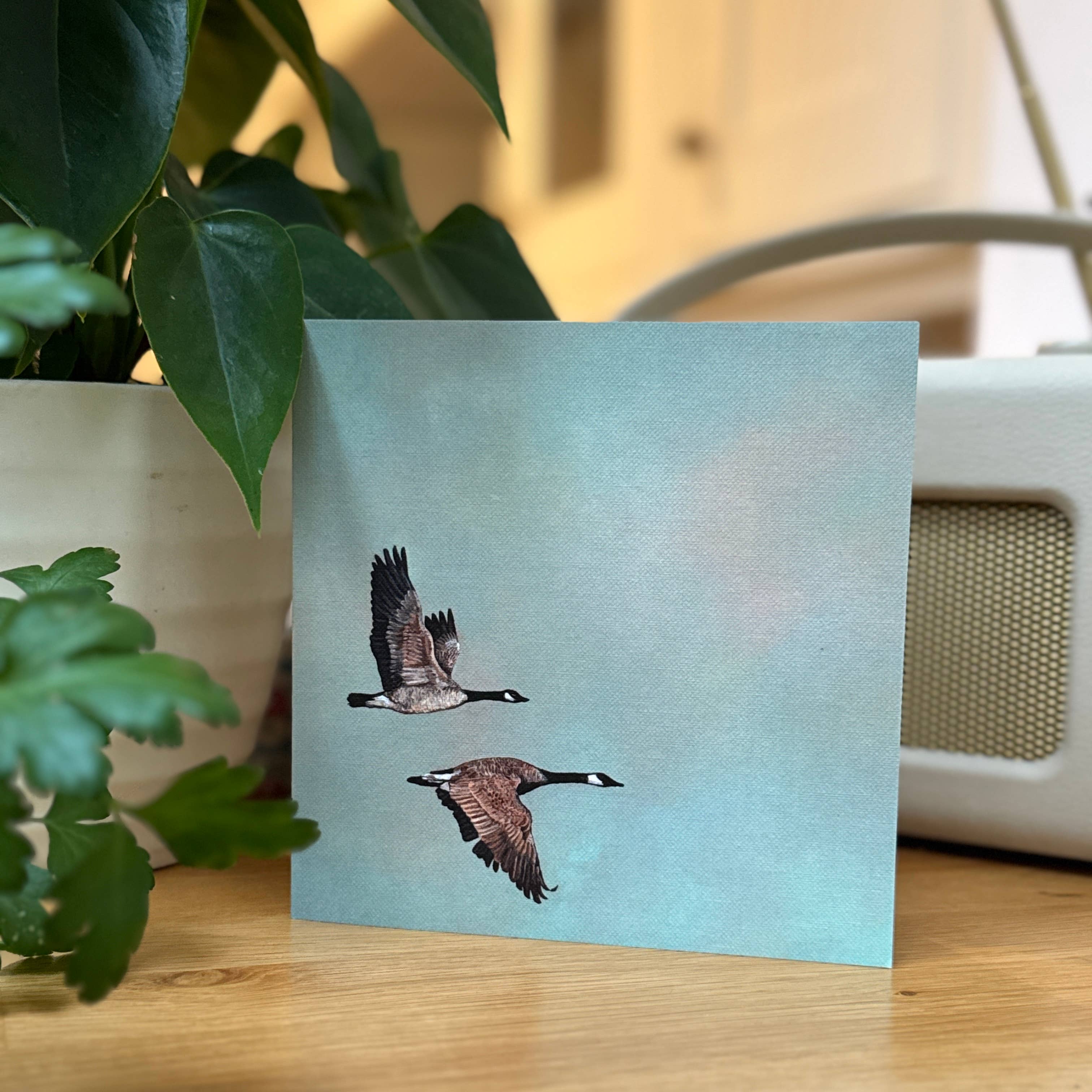 Portrait of Clouds - Wholesale Everyday Greeting Card - Canada Geese Greetings Card "Sacrosanct" - Luxury Cardstock7