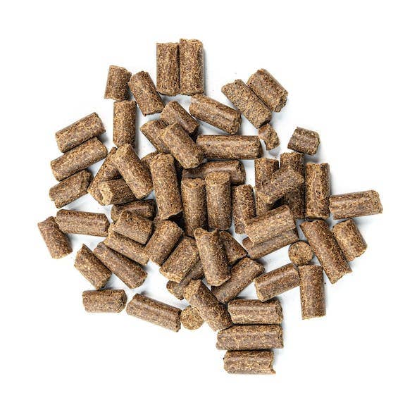 Naturfutter – Großhandel Tiernahrung – Hund – Kalter Hund Rind & Hirse – Naturfutter Trockenfutter1