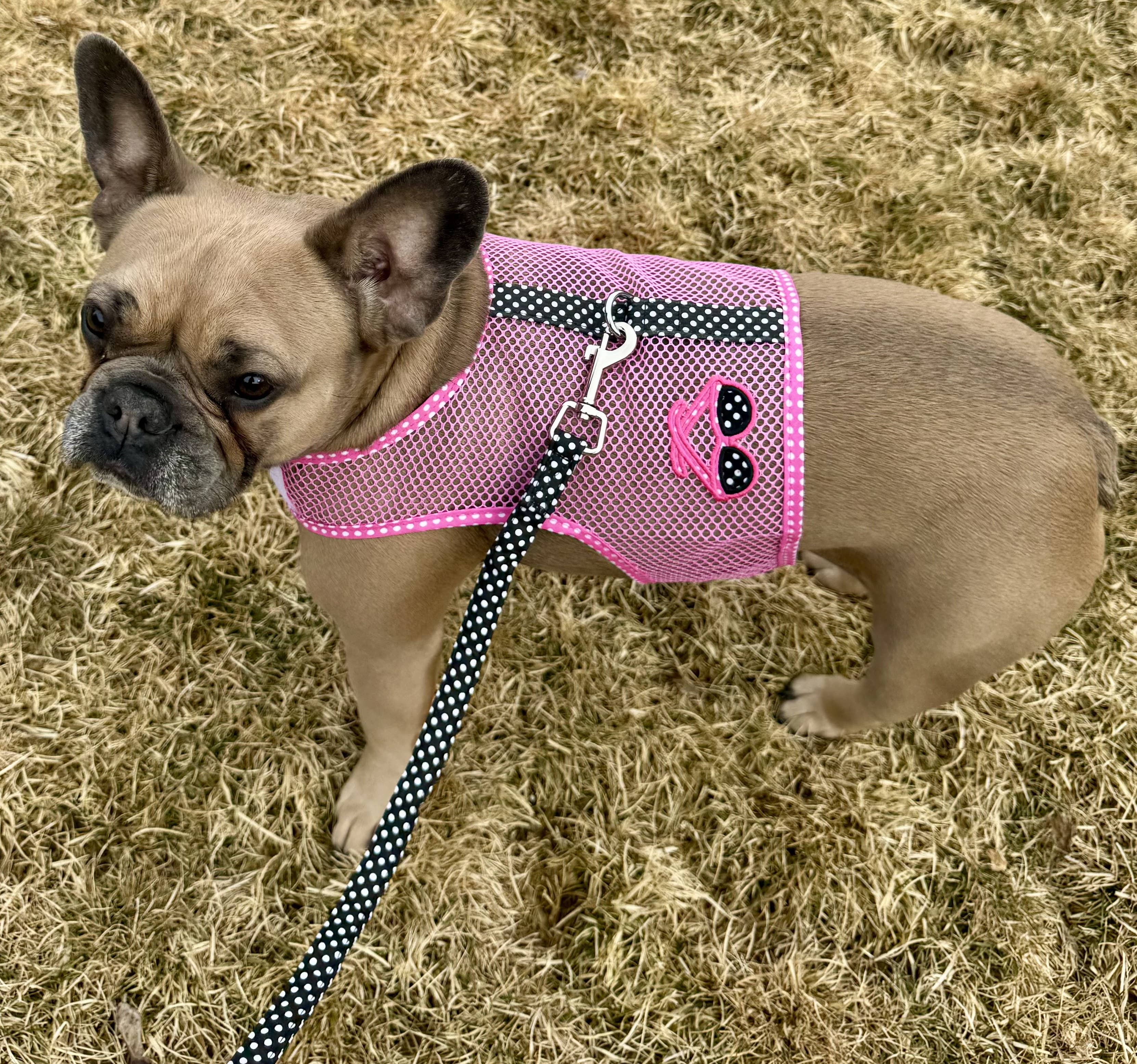 Doggie Design – wholesale Pet harness – Dog – Cool Mesh Dog Harness - Sunglasses Pink & Black Polka Dot5