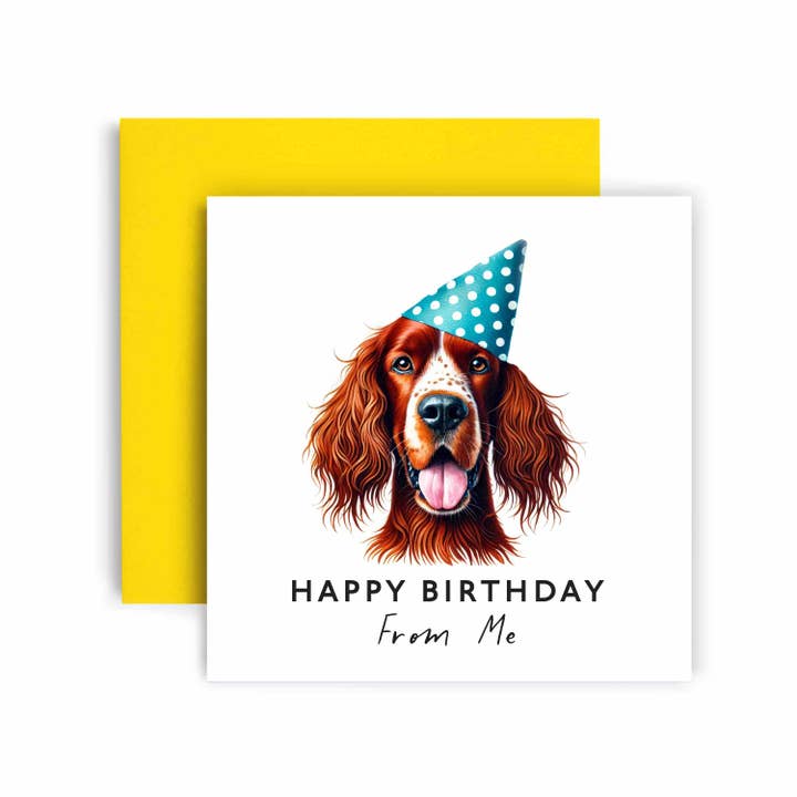 Birthday Card from the Dog – Irish Setter for wholesale by Huxters