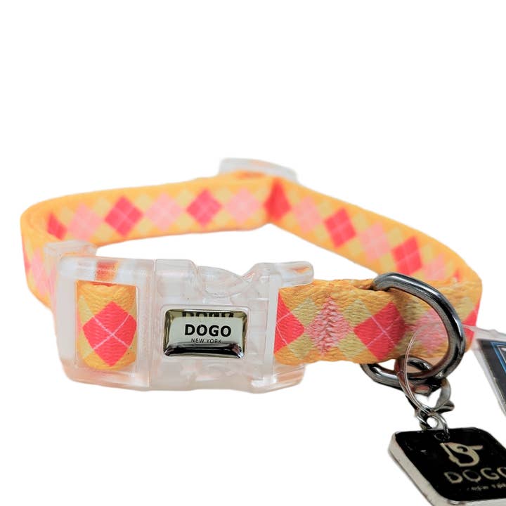 Dogo Pet - Wholesale Pet Collar - Dog - Contempo Collar & Leash Combo - Weekly Special Limit 2/Store