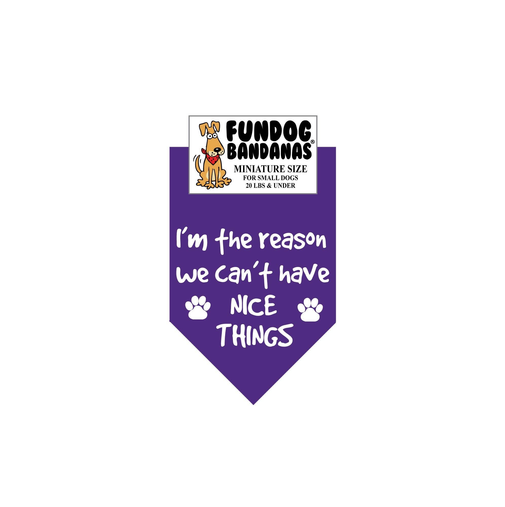 Assorted Colors Wholesale 5 Pack - I'm the reason we can't have NICE THINGS for wholesale on Faire7