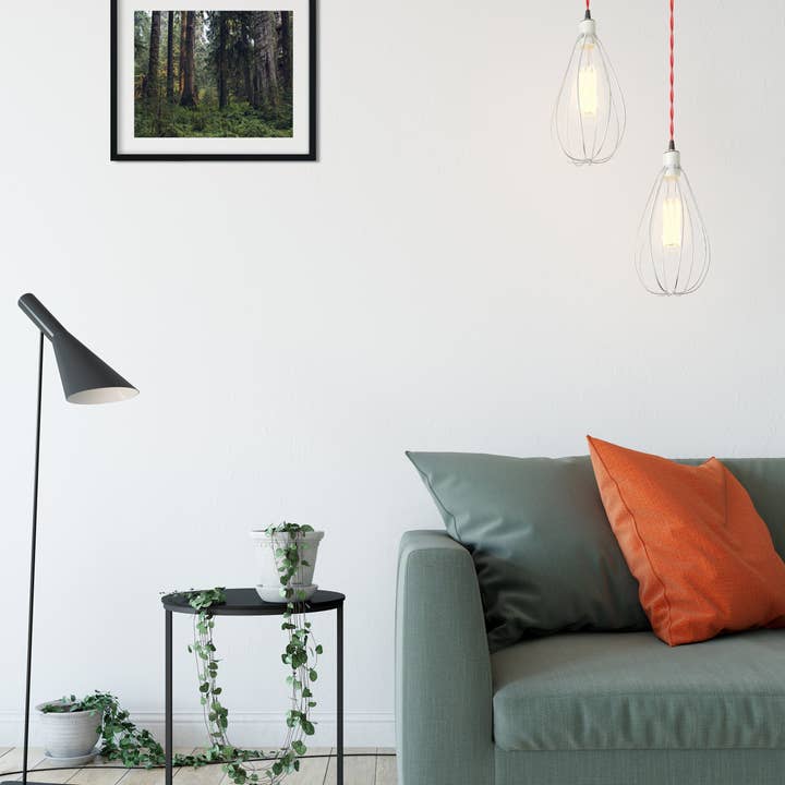 Stampa fotografica profonda e densa, foresta pluviale di Hoh, Parco Nazionale Olimpico per la vendita all'ingrosso da parte di lostkatphoto