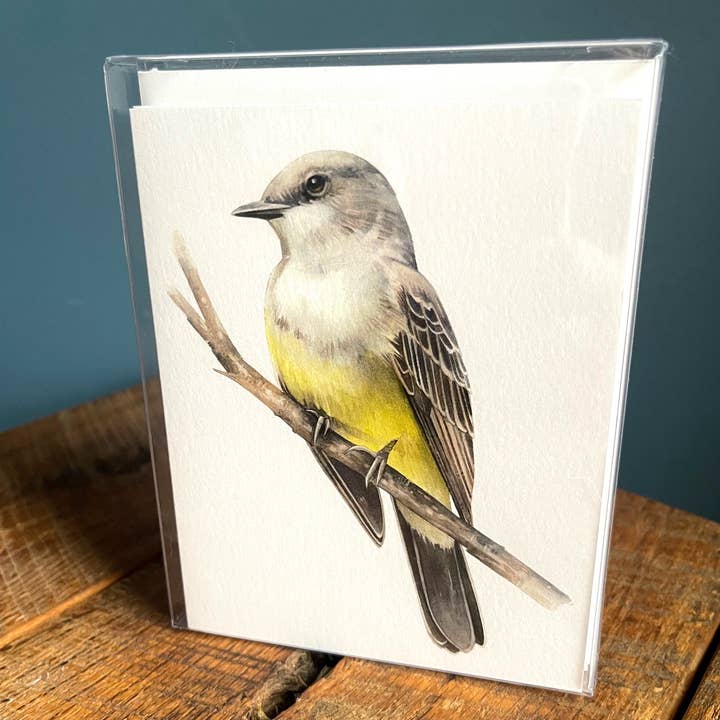 Western Kingbird - Set of 4 Note Cards for wholesale by Amy Shawley Paquette