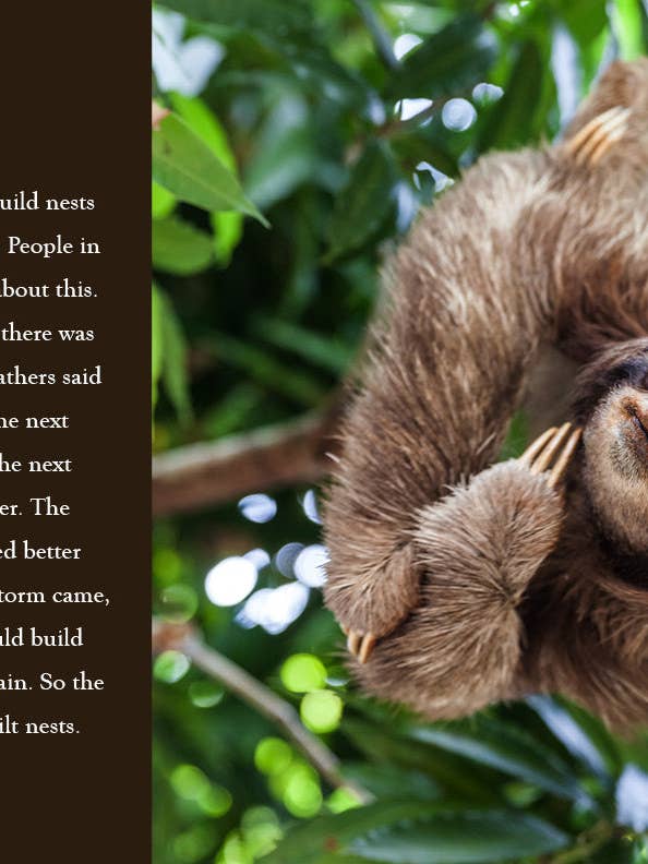 Sloths for wholesale by The Creative Company