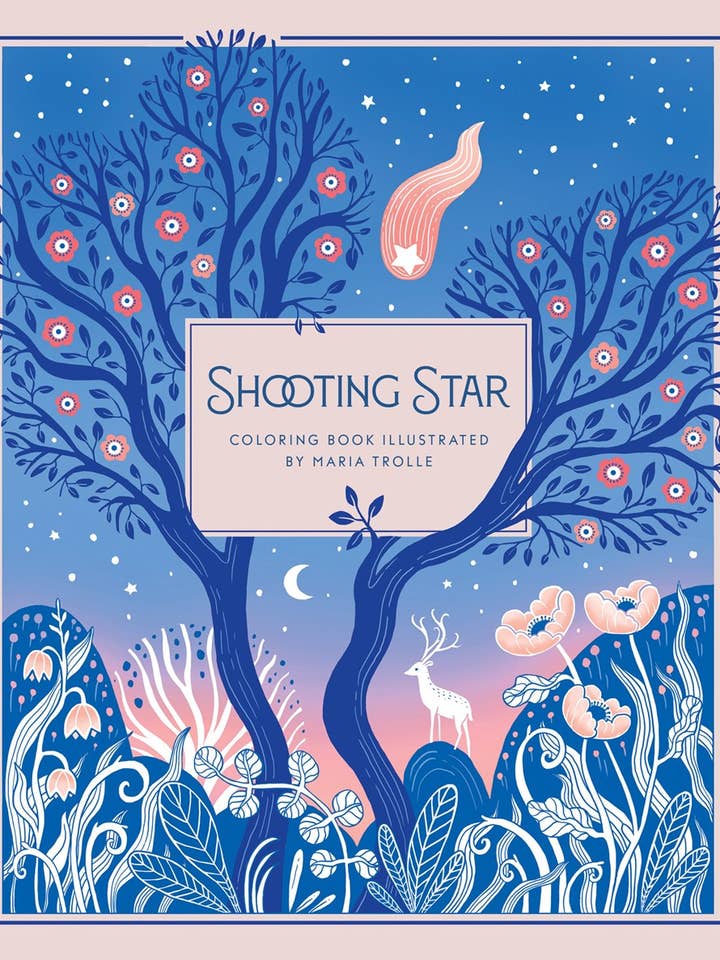 Shooting Star for wholesale by Gibbs Smith