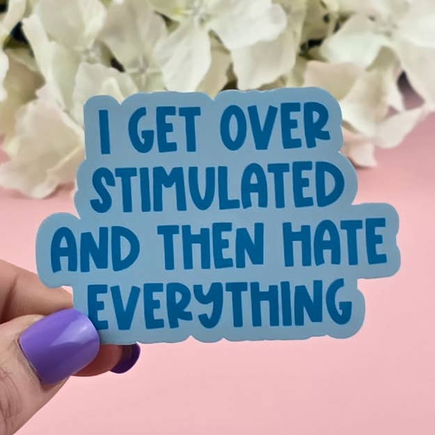 The Grumpy Tortoise - Wholesale Sticker - Waterproof Sticker - I get overstimulated and then hate everything - Sarcastic Sticker - Funny Sticker - Sassy0