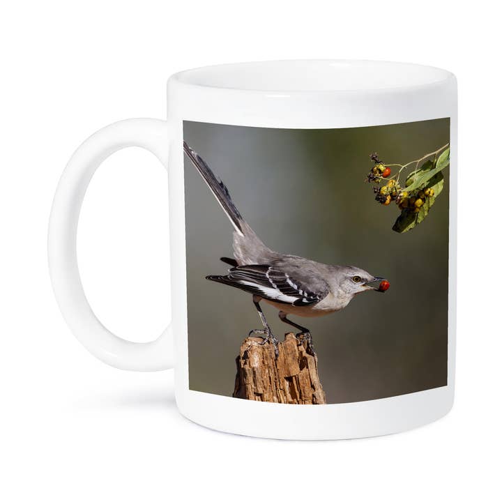 3dRose - Wholesale Coffee Mug - 3dRose, Northern mockingbird with berry., Mug8