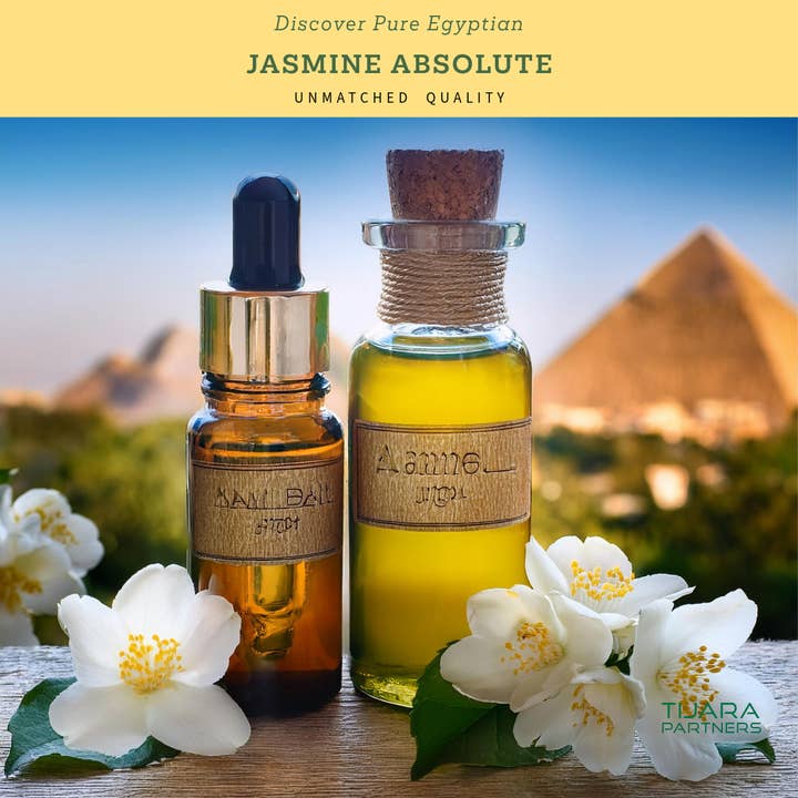 Pure Egyptian Jasmine Absolute 5ml — Lusso pronto alla vendita per spa, centri benessere e boutique e ulteriori Risultati per etanolo prezzo all'ingrosso. Resi gratuiti e termini di pagamento a 60 giorni su Faire in tendenza su Faire.