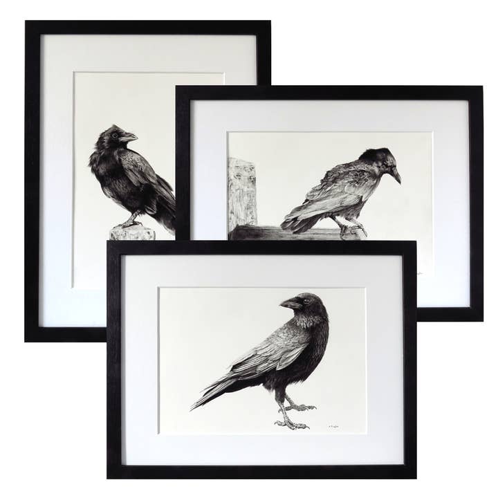 3 Crow Bird Prints from Original Art in Black Frames for wholesale by Drawing In Dark