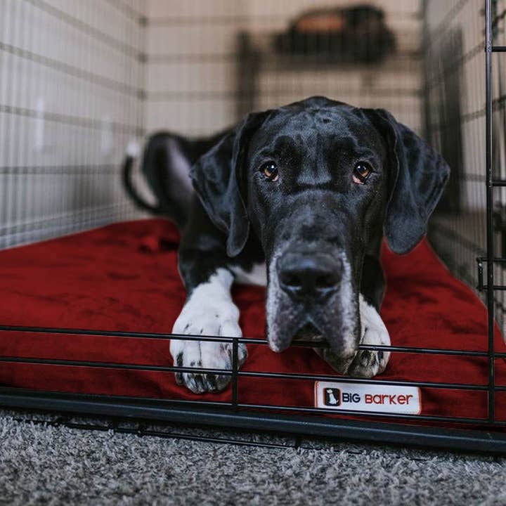 Barker Beds - Wholesale Pet Bed - Dog - 4" Orthopedic Crate Bed18