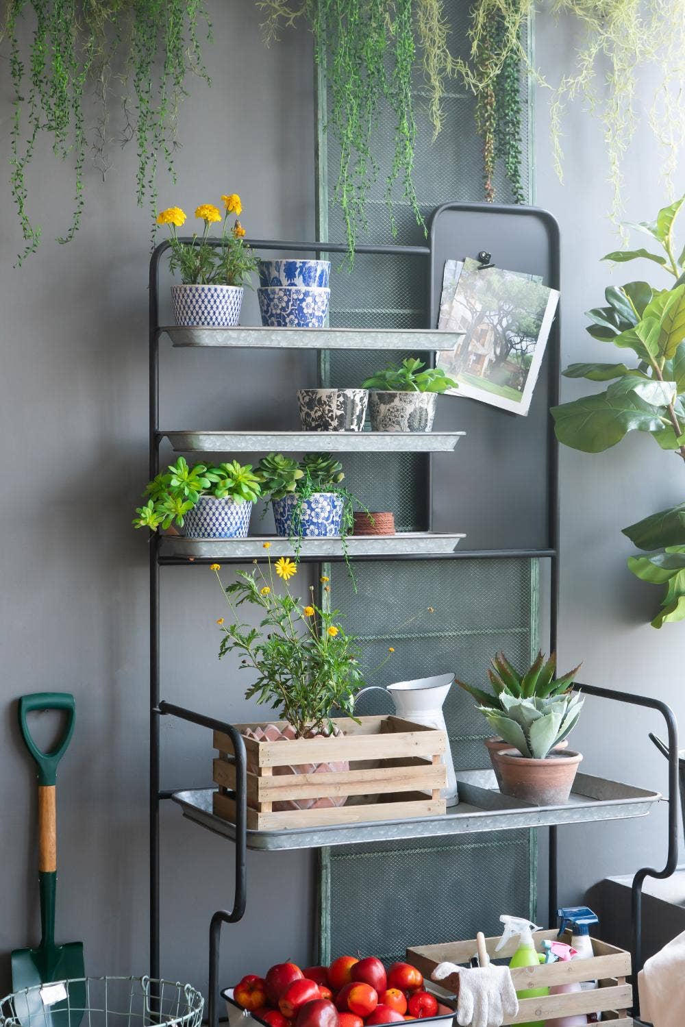 A&B Home Group Inc. - Wholesale Plant Pot - S/4 D5.5x5" Terracotta Planters9