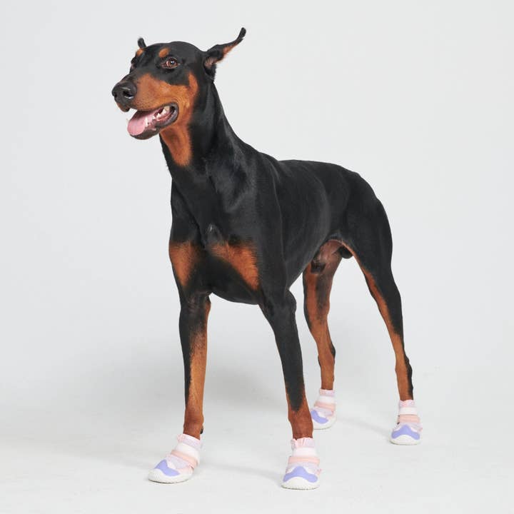Spark Paws - Wholesale Pet Paw Protection - Hot Pavement Pawtector Dog Shoes - Pink Purple