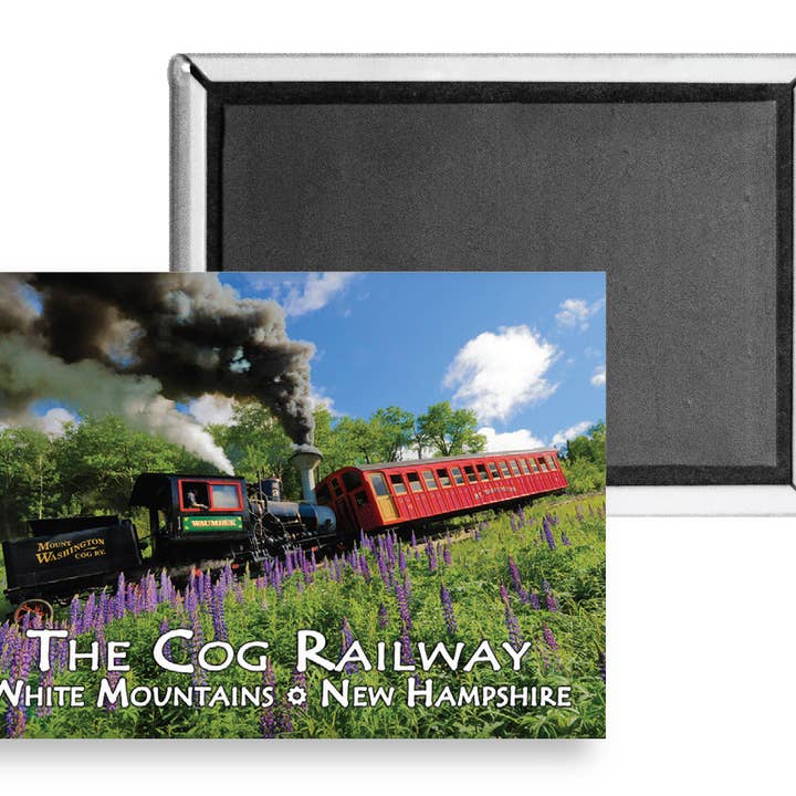 7745 - Cog Lupin Lang Magnet for engroshandel hos White Mountain Images