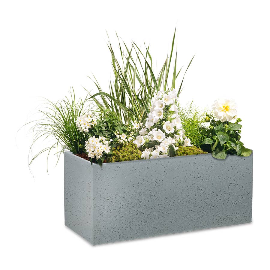 Scheurich - Vente Pot - Pot à fleurs et jardinière en plastique C-Cube High 2408