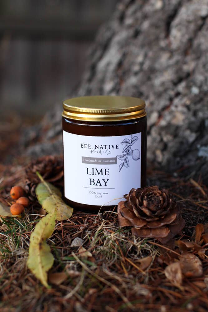 Bee native products - Wholesale Jar/filled candle - Lime bay soy candle