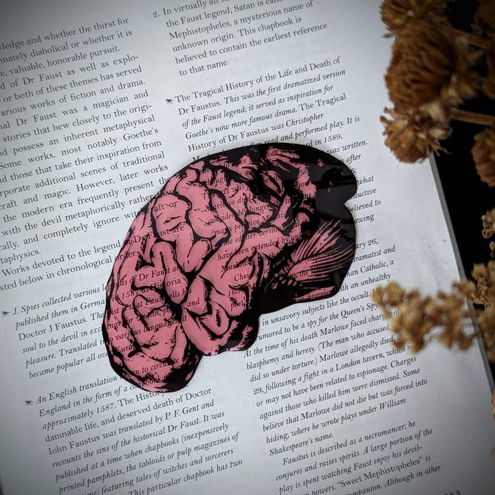 Signet transparent - Anatomie médicale du cerveau humain Dark Academia pour la vente par Dark Veinlet