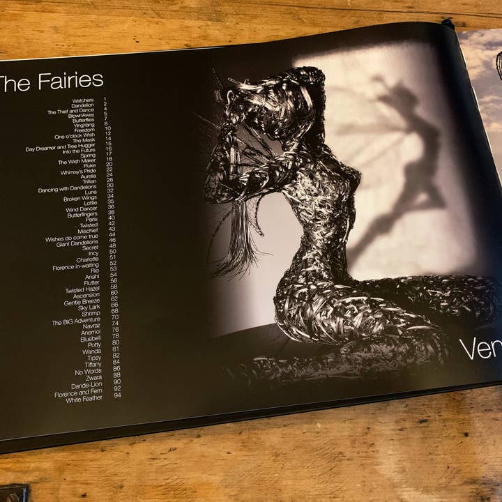 Fantasywire - Venta al por mayor Arte y entretenimiento - Libro de hadas FantasyWire de Robin Wight4