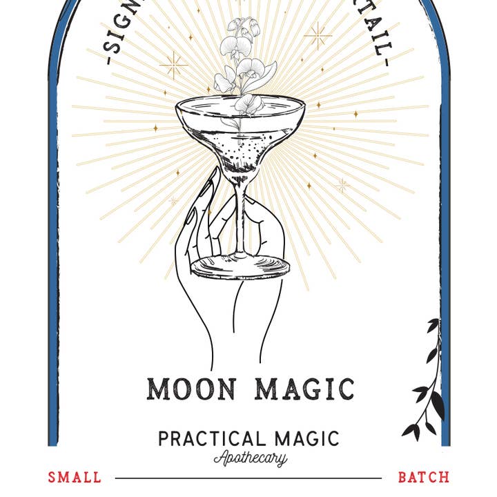 Practical Magic Apothecary & Craft Cocktails - Wholesale DIY Drink Kit - Moon Magic Martini Craft Cocktail Infusion Drink Kit -Jar