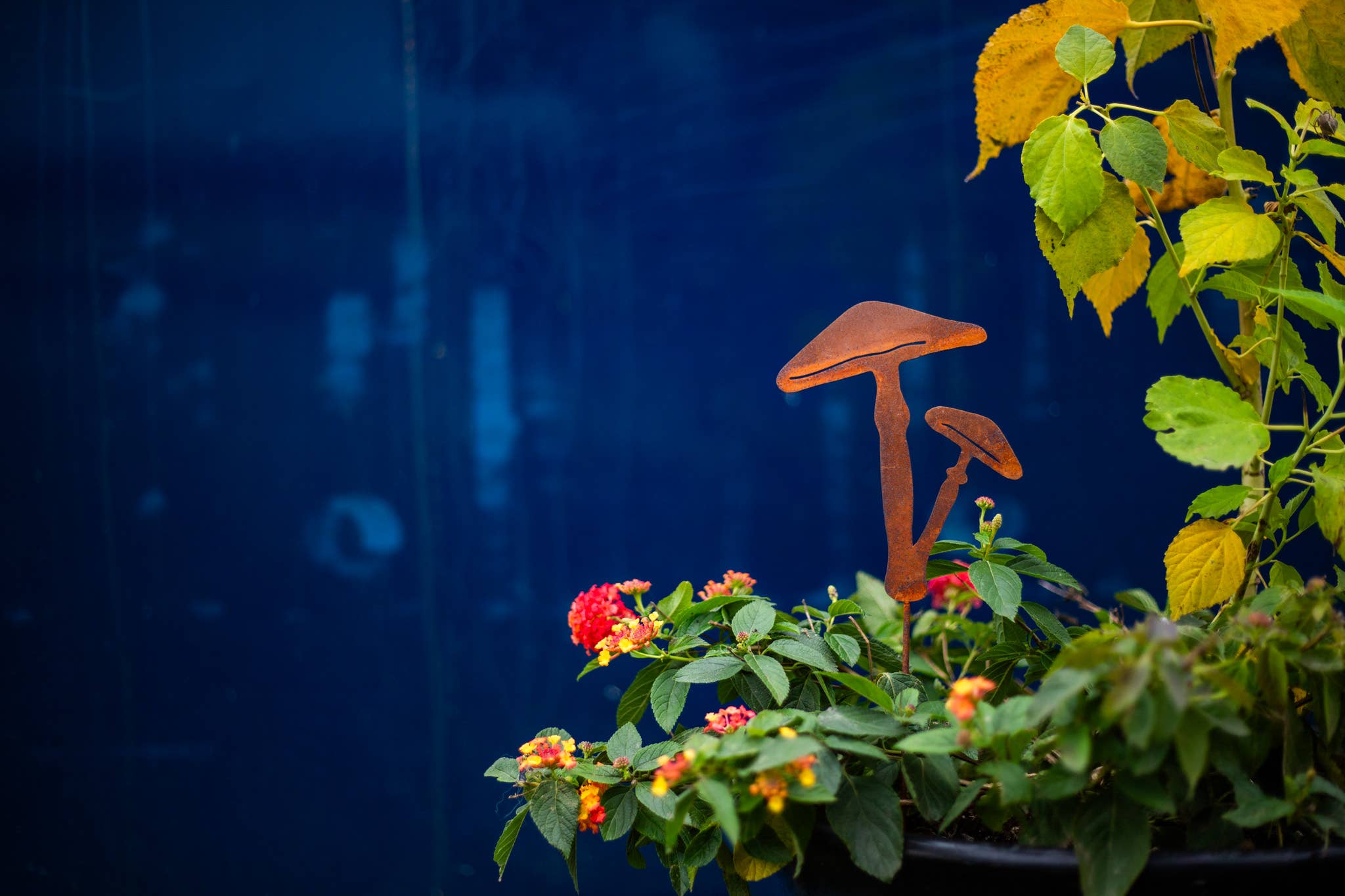 Elegant Garden Design - Vente Piquets de jardin/pelouse - Piques à champignons - Lot de cinq16