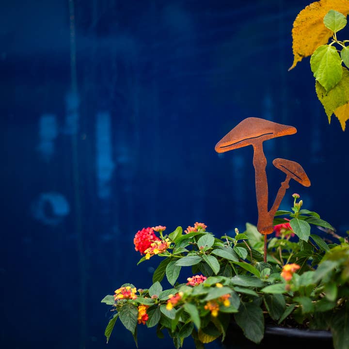 Elegant Garden Design - Vente Piquets de jardin/pelouse - Piques à champignons - Lot de cinq16
