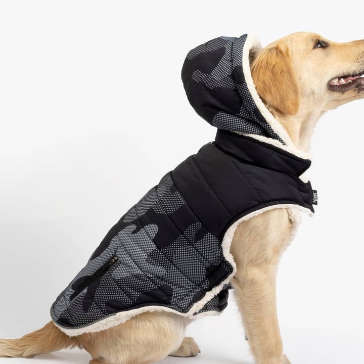 Veste pour chien Marley Bleu | Manteau d'hiver facile à enfiler avec capuche amovible et doublure en sherpa pour la vente par Silver Paw