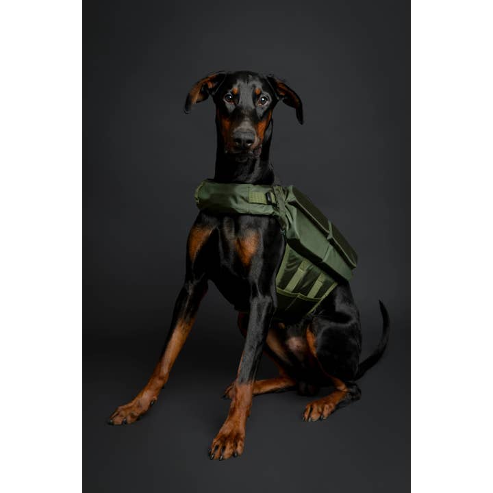 NOAH AND PAW LLC - Vente Veste – chien - Gilet de sauvetage pour chien NOAH AND PAW avec 4 mousses flottantes - Vert15
