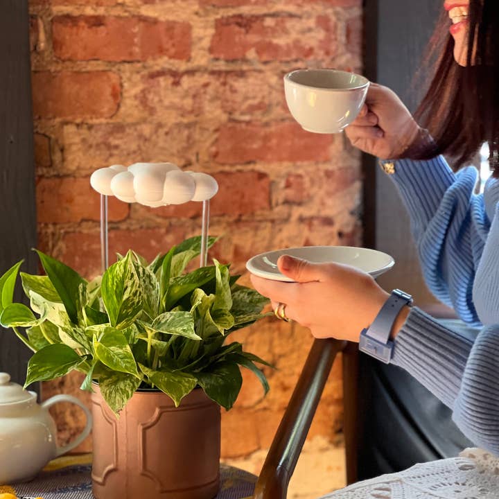 The Cloud Makers - Wholesale Watering Can - Original Dripping Rain Cloud