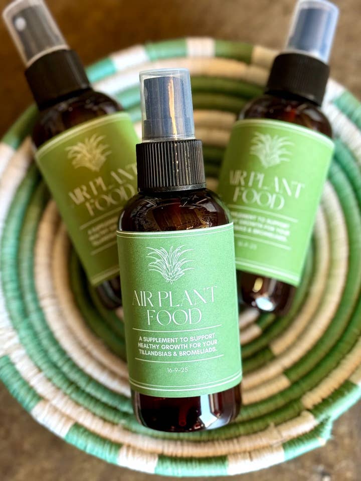 Spray alimentare Air Plant - Commercio equo e solidale - Prodotto dai rifugiati per la vendita all'ingrosso da parte di Hands Producing Hope