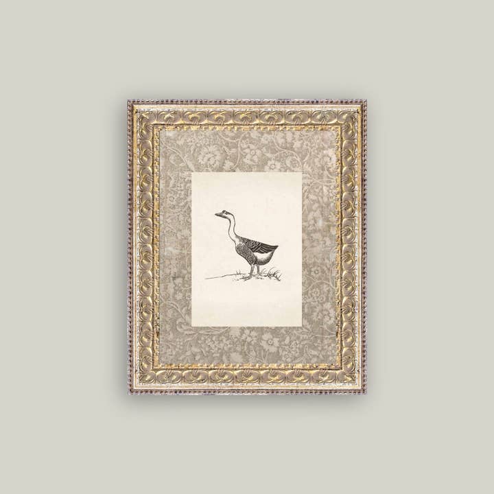 Petal Lane Home - Wholesale Art Print - Single Goose Framed Antique Art