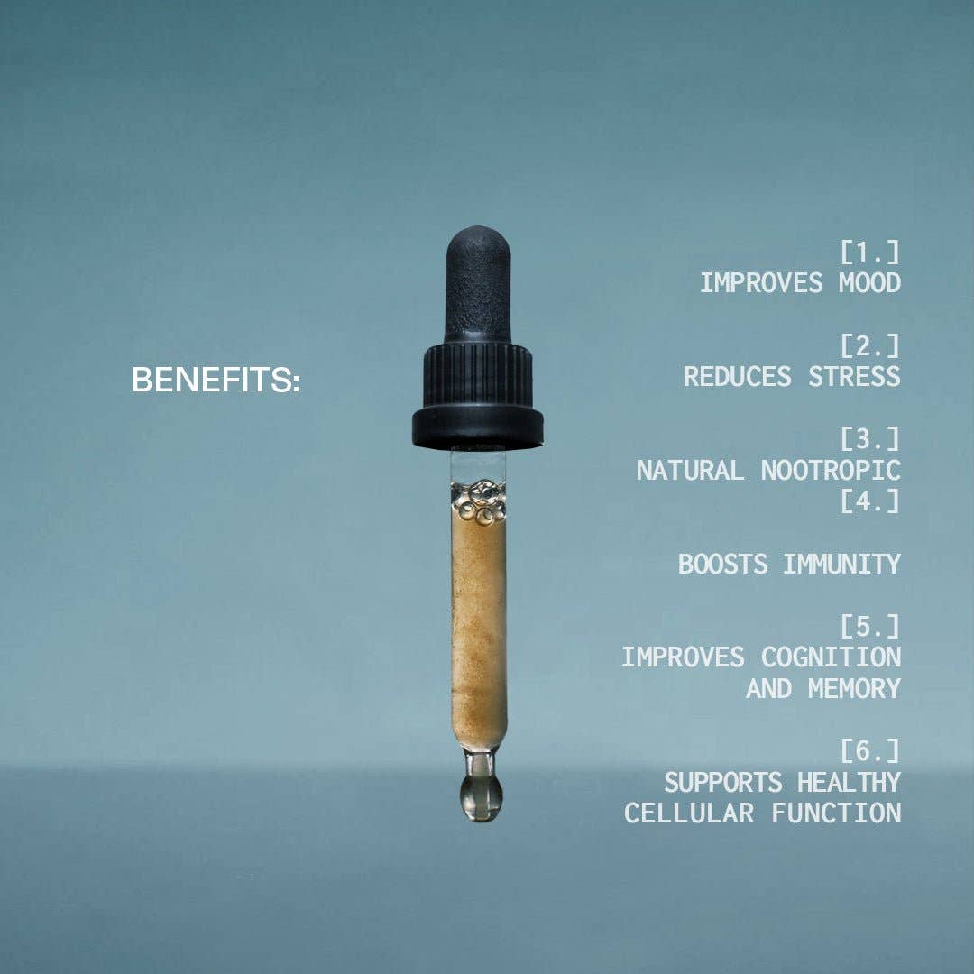 Fractal Forest - Vente Supplément oral/vitamine - crinière de lion2