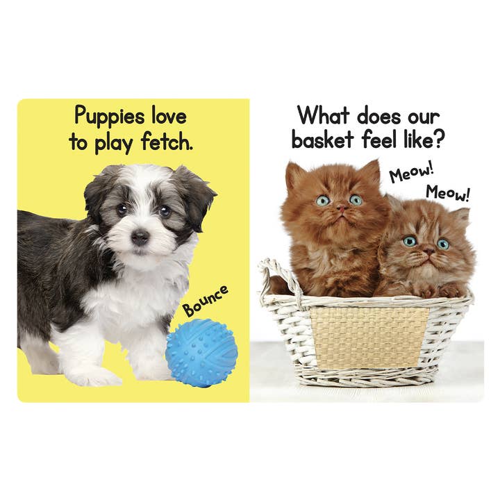 Little Hippo Books - Wholesale Book - Kids - Puppies and Kittens -Touch and Feel Sensory Board Book