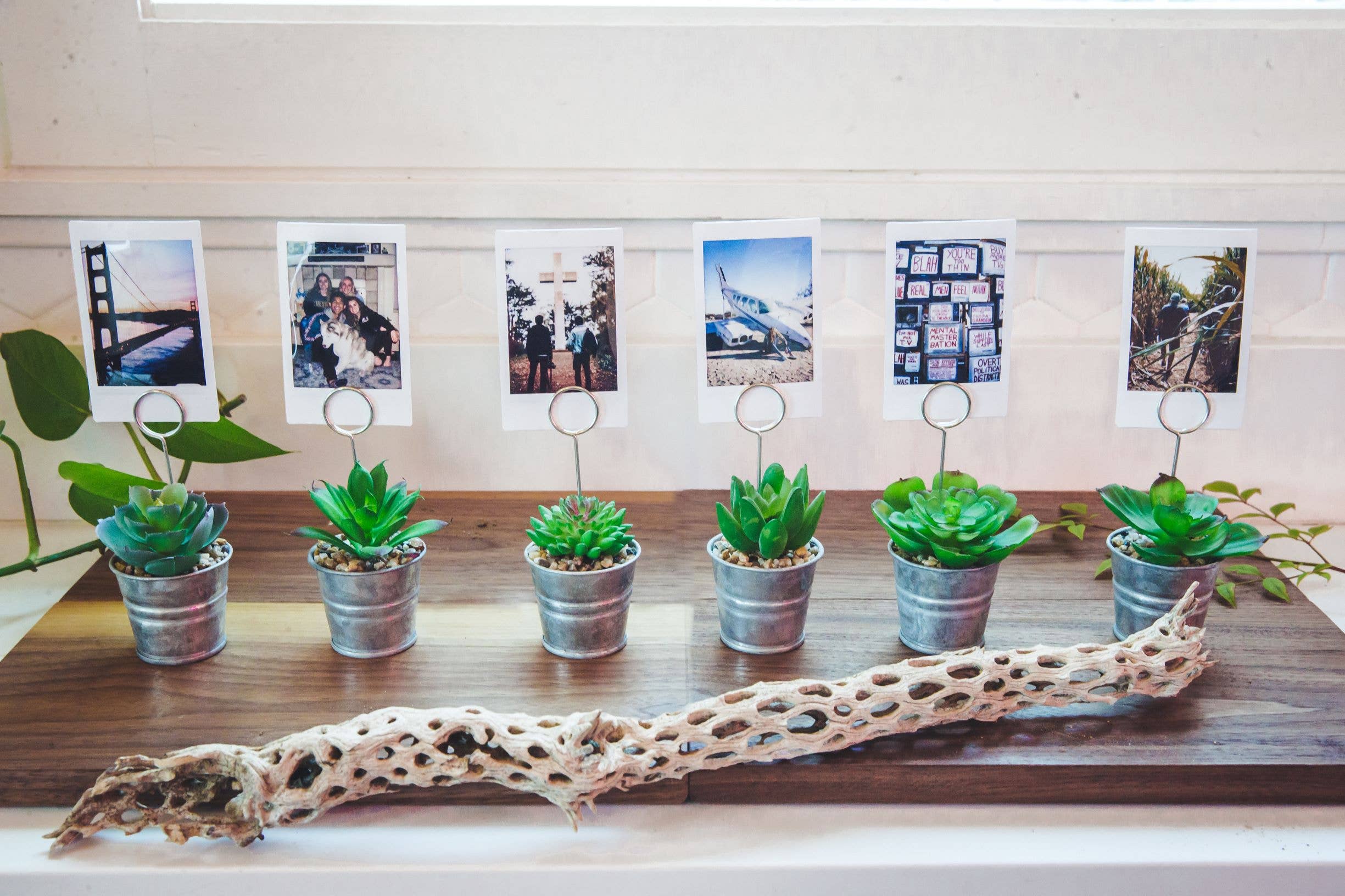 Flora Bunda Inc - Wholesale Place Card / Place Holder - Mini Succulent Memo Clip – Set of 45