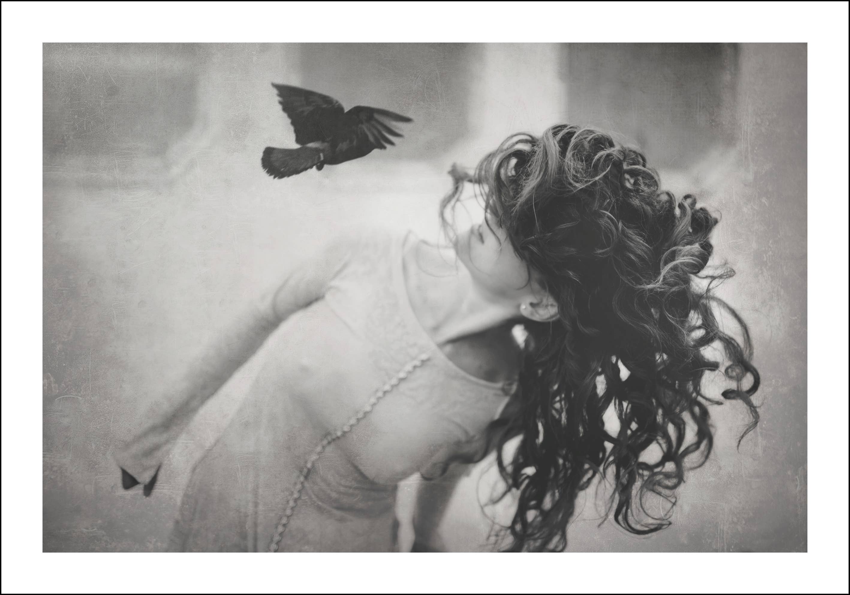 TOVE FRANK - Vente Affiche d'art - Messenger - Impression artistique - 70x100 cm0