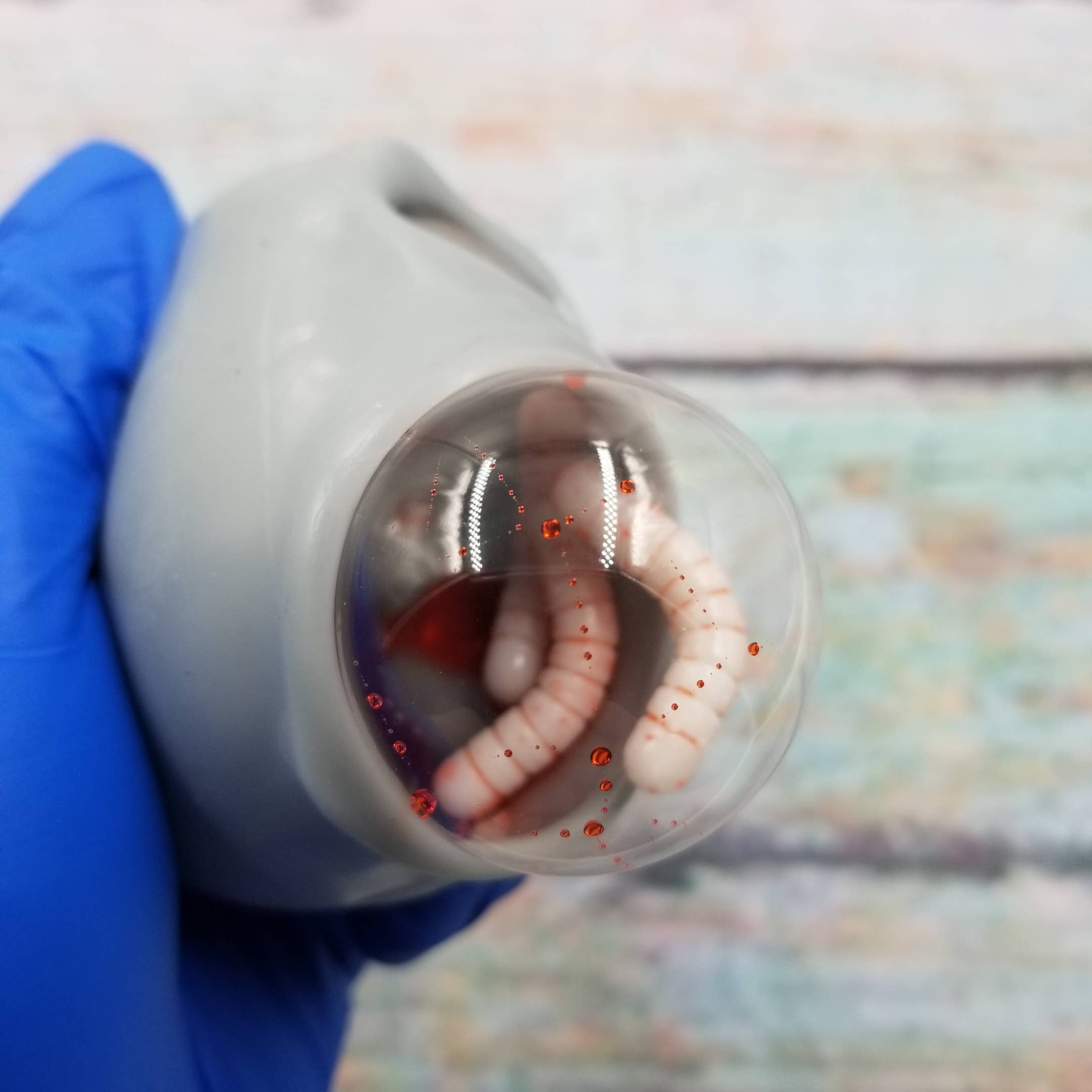 MIAS SHOP - Wholesale Squishy Toy - Kids & Baby - Squeeze Skull Toy Kneading Decompression Halloween Toys5