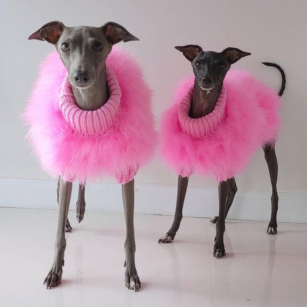Furr-Baby Gifts - Wholesale Pet Sweater - Dog - Haute Couture Feathered Luxury Pet Sweater2