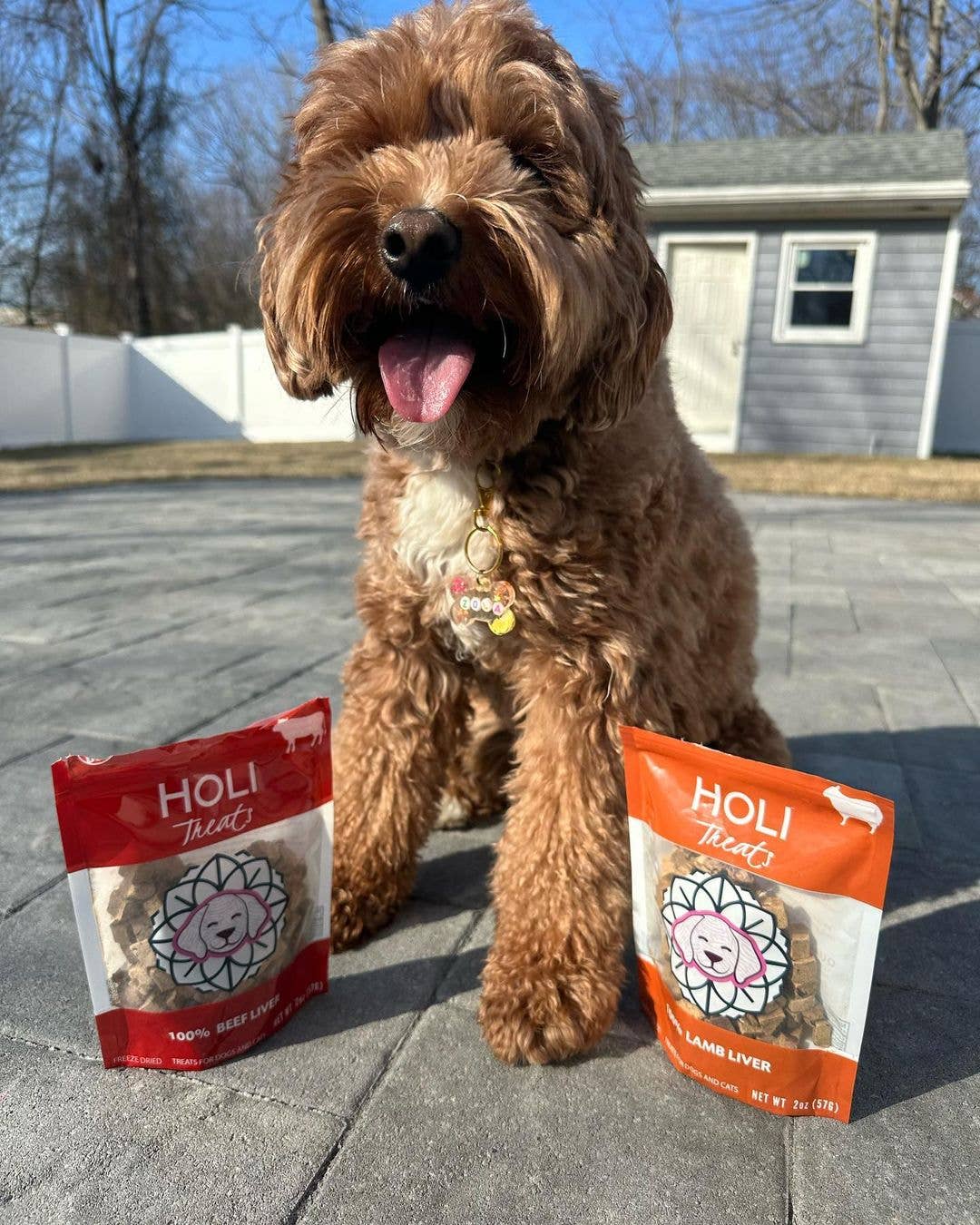 HOLI - Wholesale Pet Treats - Dog - Lamb Liver Dog Treats - All Natural - Freeze Dried6