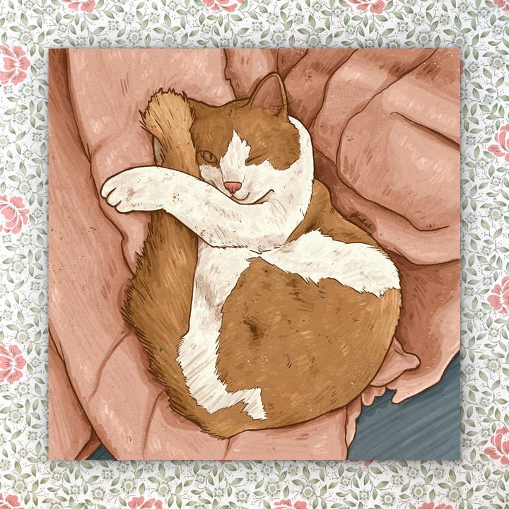Comfy One-eye Cat, Art Print, 8 x 8 inch, Signed & Numbered for wholesale by Art Fimbel