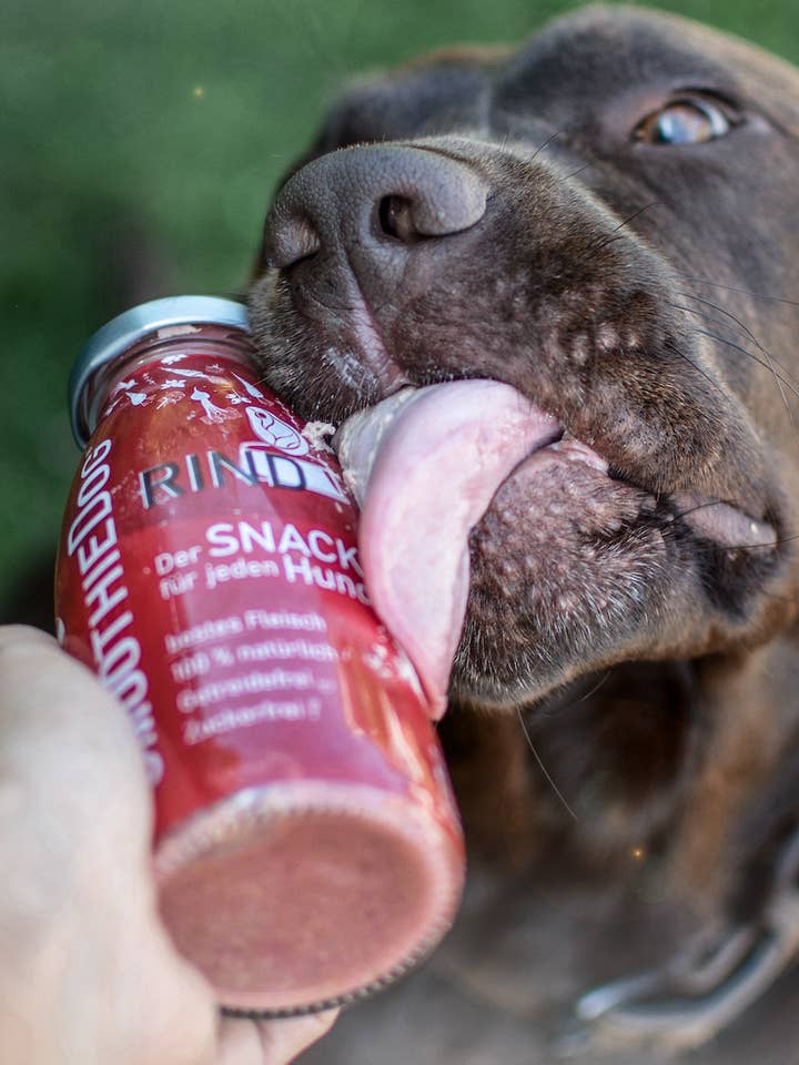 SmoothieDog Natural Snack per Cani al Manzo Senza Zucchero per la vendita all'ingrosso da parte di SmoothieDog