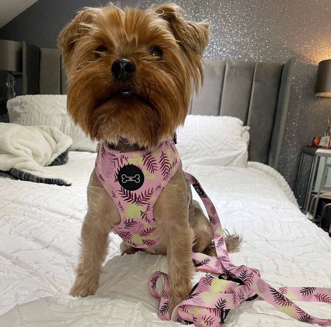 The Muttley Club - Wholesale Pet Poop Bag Dispenser - Palm Springs Poo Bag Holder3