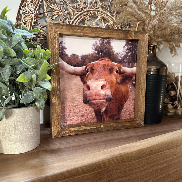 The Broken Board – wholesale Fotografi – Longhornko pussar3