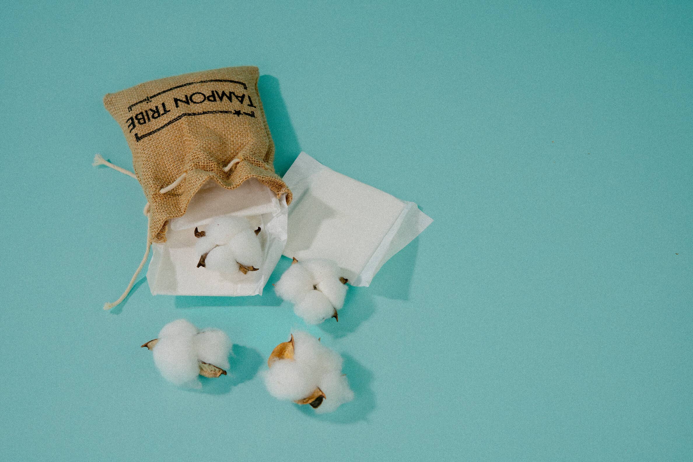 Tampon Tribe – Großhandel Menstruationsbinde/-einlage – Großpackung mit 500 Stück – 100 % Bio-Baumwoll-Ultrathin-Binden1