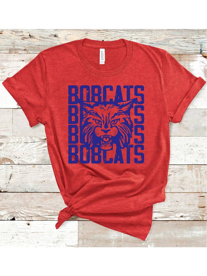 American Threadz Apparel - Wholesale Screen Printed T-Shirt - Women's - Custom Mascot Stacked Tee12