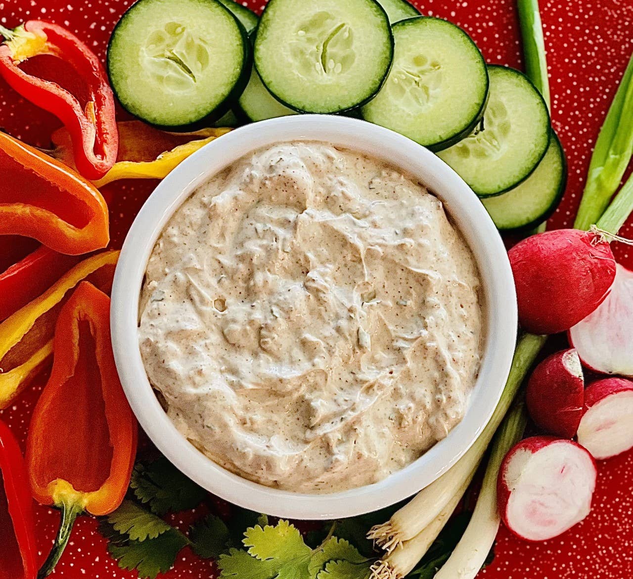 Carmie's Kitchen - Wholesale Dip - Mañana Mexican Dip Mix1